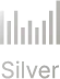 Silver Sponsor